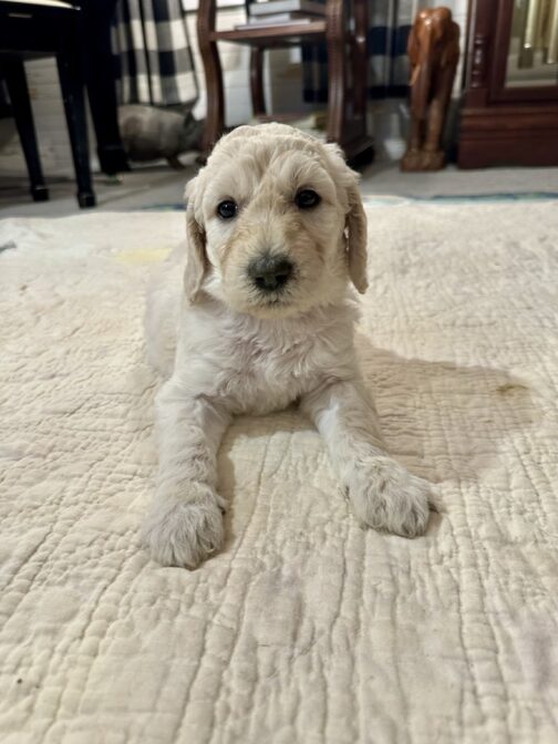 Sally